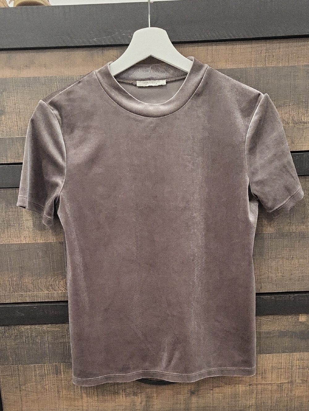 Zara Short Sleeve Velvet Tee in Taupe